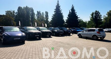 У Кривому Розі автосалони та автомайданчики вбили авторинок