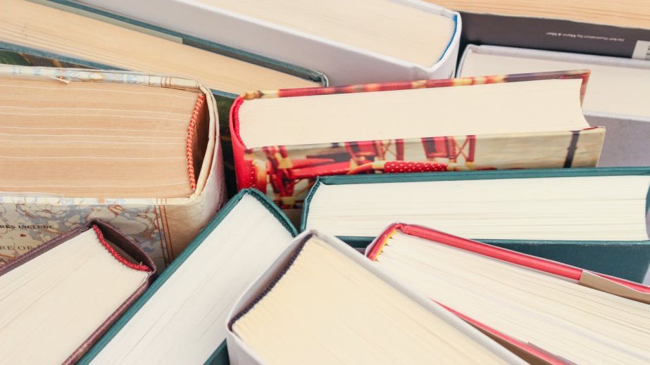 Литература объединяет и обогащает: в Днепре прошел масштабный книгообмен (ФОТО)