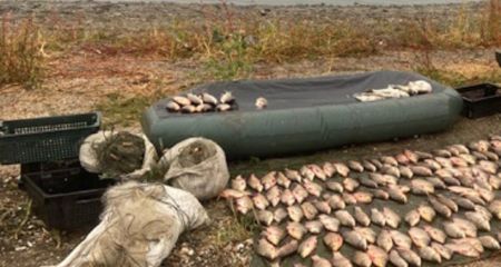 У Кривому Розі чоловік натягав лящів і судаків на 300 тисяч гривень збитків (ФОТО)