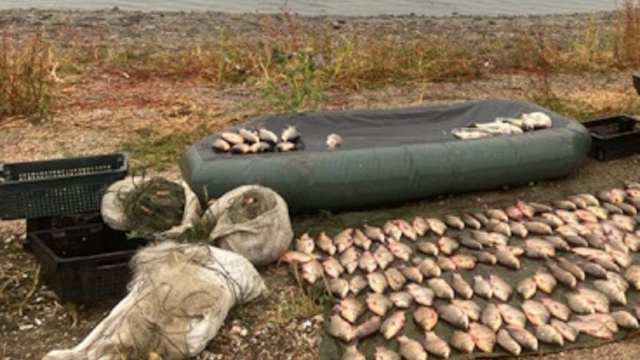 У Кривому Розі чоловік натягав лящів і судаків на 300 тисяч гривень збитків (ФОТО)