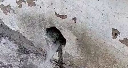 У Нікополі через крадіжку води ОСББ руйнується будинок (ФОТО)