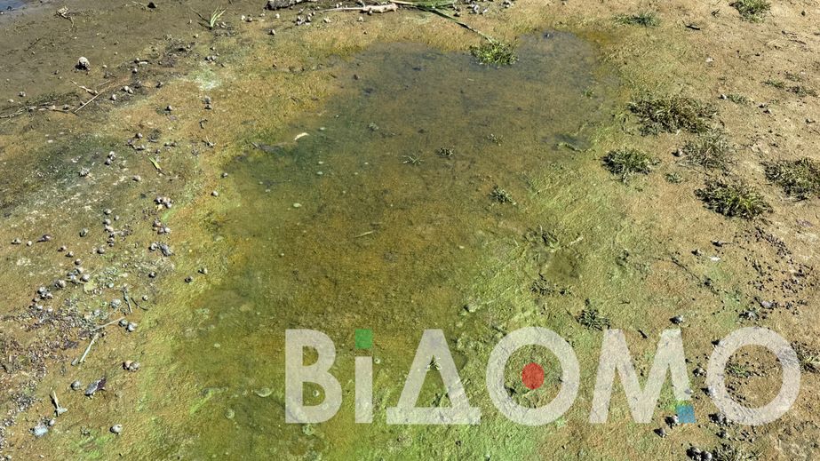 Незвичний колір і незрозумілий зміст води: який стан берега в різних районах Дніпра (ФОТО)
