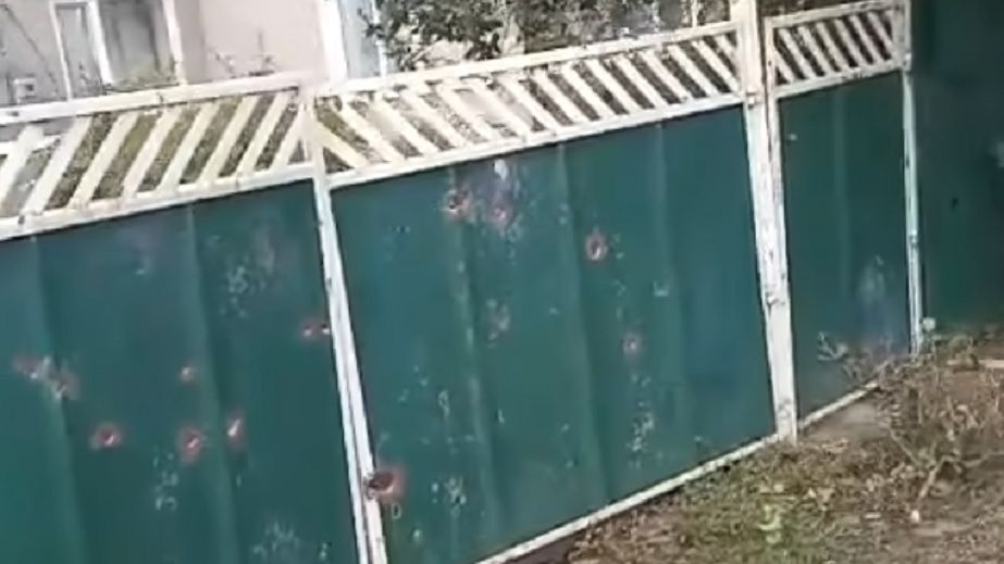 Побиті подвір'я і покинуті тварини: як виглядають вулиці у Межовій після черогового обстрілу (ВІДЕО)