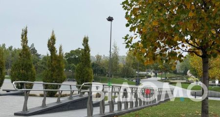 Якою буде погода у Дніпрі 15 жовтня