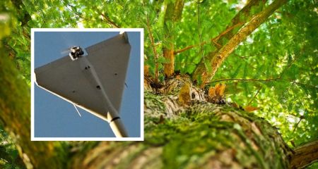 "Сила ангелов": в Па...