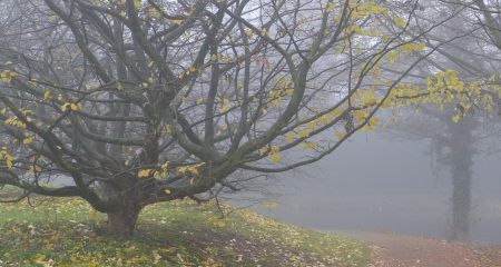 Якою буде погода у Дніпрі та області 8 листопада