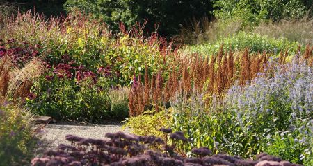 В прифронтовом Марганце выделили почти 2 миллиона гривен на озеленение