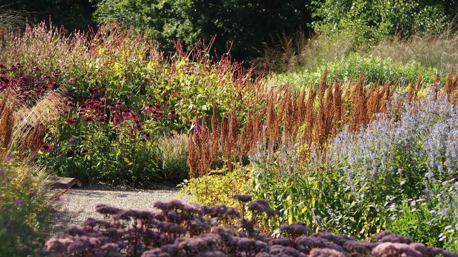 У прифронтовому Марганці виділили майже 2 мільйони гривень на озеленення