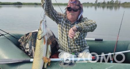 На набережной Днепра поймали огромного судака (ВИДЕО)