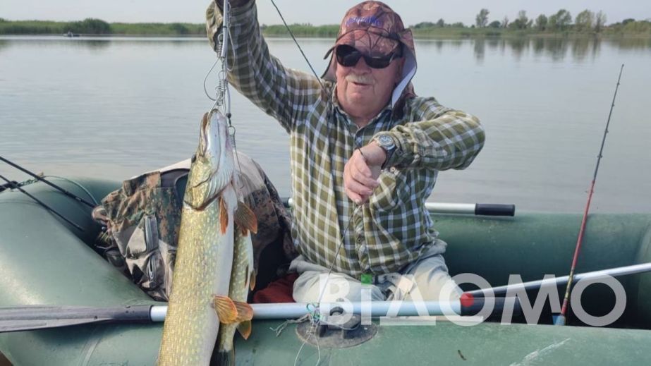 На набережній Дніпра зловили величезного судака (ВІДЕО)