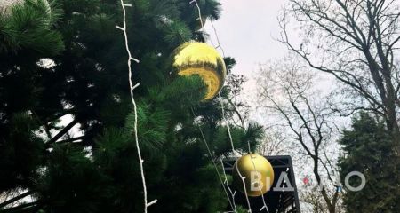 Головна ялинка Кривого Рогу засяє святковими вогниками вперше за роки війни (ФОТО)