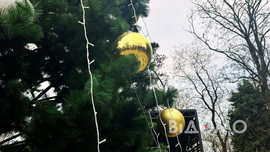 Головна ялинка Кривого Рогу засяє святковими вогниками вперше за роки війни (ФОТО)