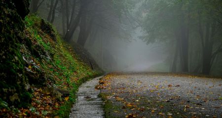 Якою буде погода у Дніпрі та області 15 листопада