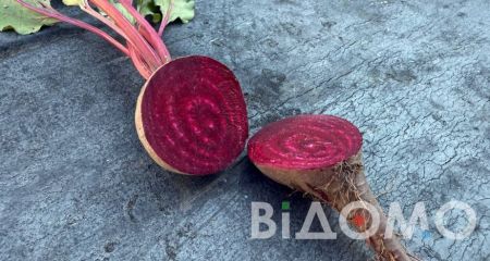 Борщ и костер для всех: в Днепре провели теплую акцию (ФОТО, ВИДЕО)