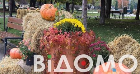 У Дніпрі вуличний декор перетворився на "мішень" для підлітків (ВІДЕО)