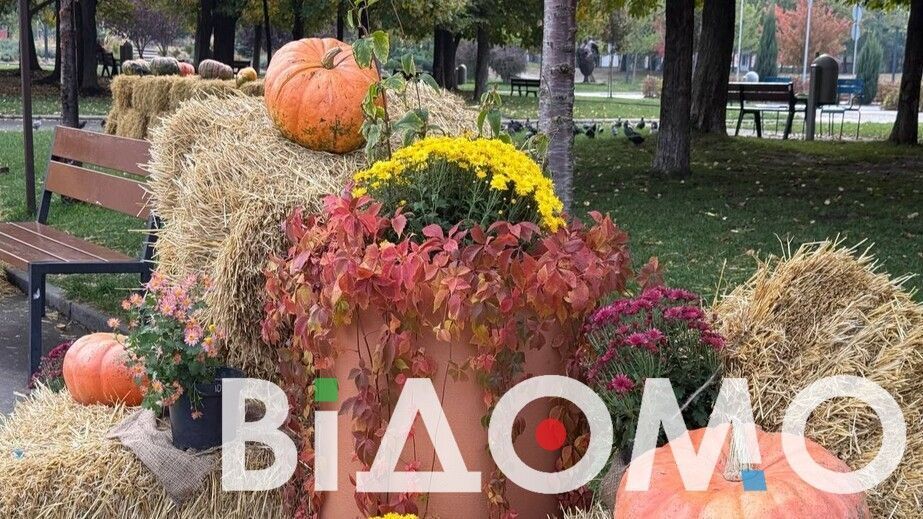 У Дніпрі вуличний декор перетворився на "мішень" для підлітків (ВІДЕО)