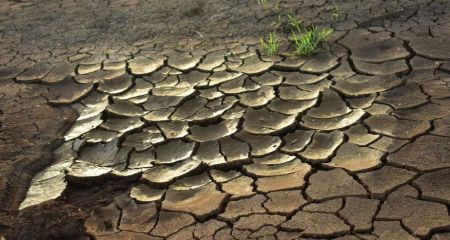 На Дніпропетровщині ...
