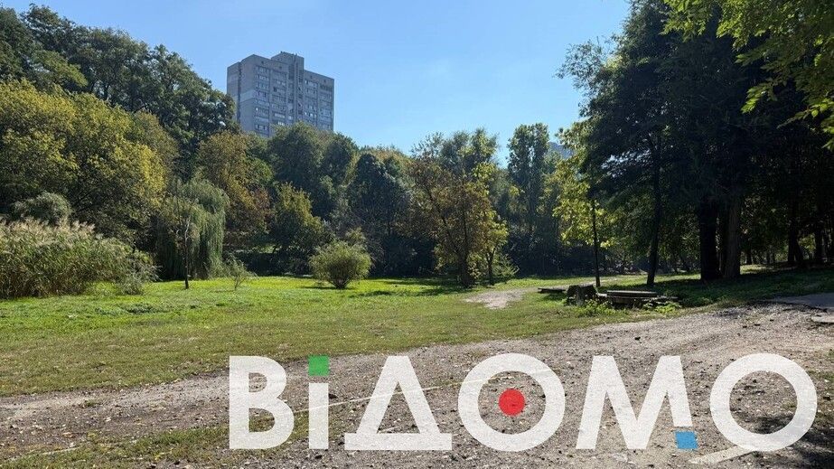 У Кривому Розі жінка з таксою обікрала парк Щастя (ВІДЕО)