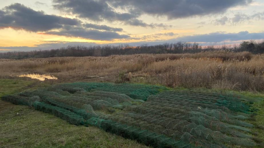 В Днепропетровской области разоблачили "подводный состав" браконьеров (ФОТО)