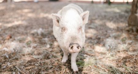 В Кривом Роге мужчин...