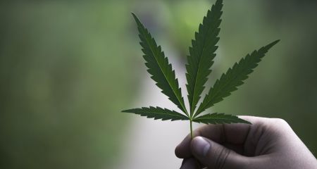 На Дніпропетровщині ...