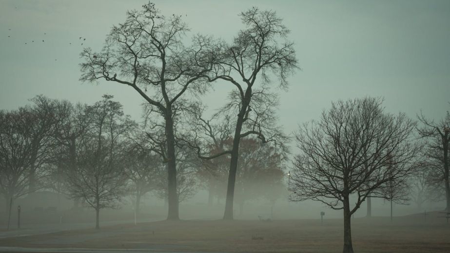 Туман и облачность: какой будет погода в Днепре и области 27 ноября