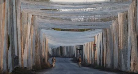 В Никополе избили блогершу из-за видео о защитных сетях: инцидент прокомментировала полиция (ВИДЕО)