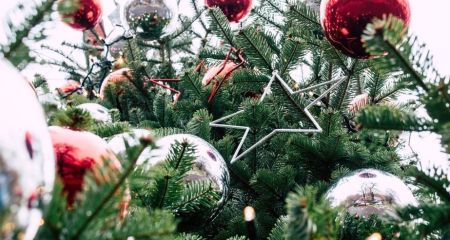 У Дніпрі почався сезон продажу живих ялинок: що відомо про ціни (ФОТО)