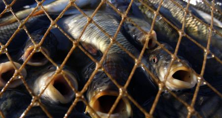 В Днепровском районе...