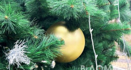 В Каменском украсили...