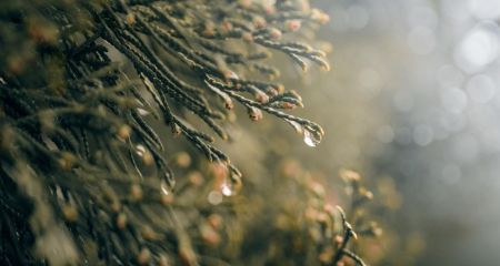 Облачно с прояснениями и скользкие дороги: прогноз погоды на Днепропетровщине 17 февраля