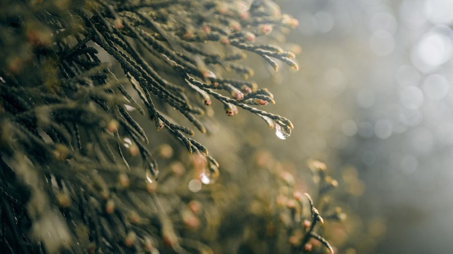 Облачно с прояснениями и скользкие дороги: прогноз погоды на Днепропетровщине 17 февраля