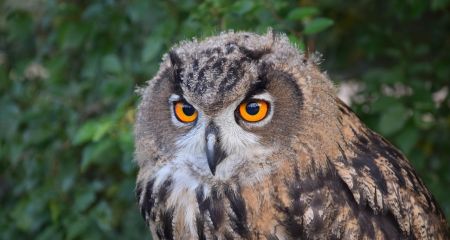 В Днепре лечат ранен...