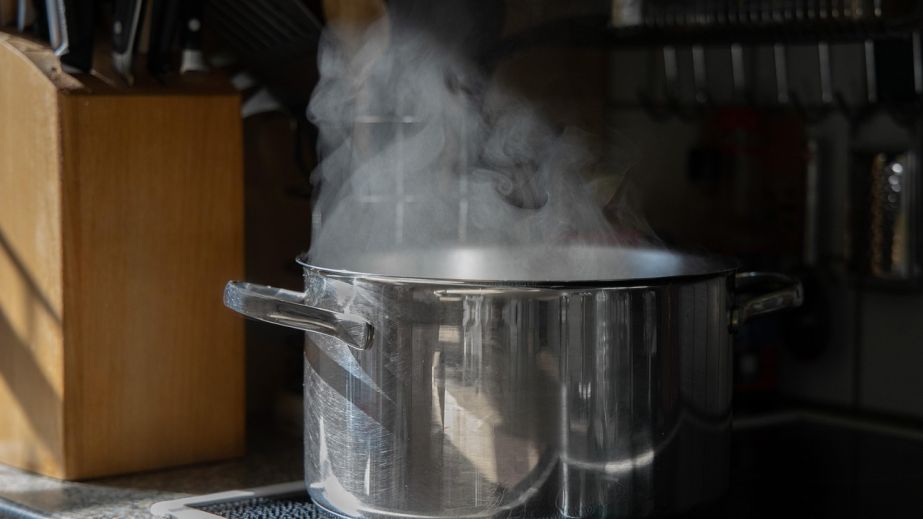 На Криворіжжі чоловік поцупив у жінки 40-літрову кастрюлю та тушки качок