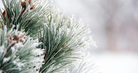 Вьюга и гололедица: какой будет погода в Днепре и области 27 декабря