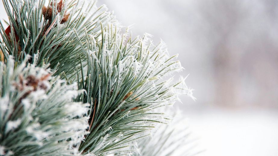 Хуртовина та ожеледиця: якою буде погода у Дніпрі та області 27 грудня