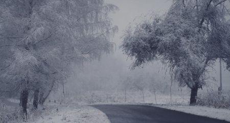 Сніг, дощ та ожеледиця: якою буде погода у Дніпрі та області 10 січня