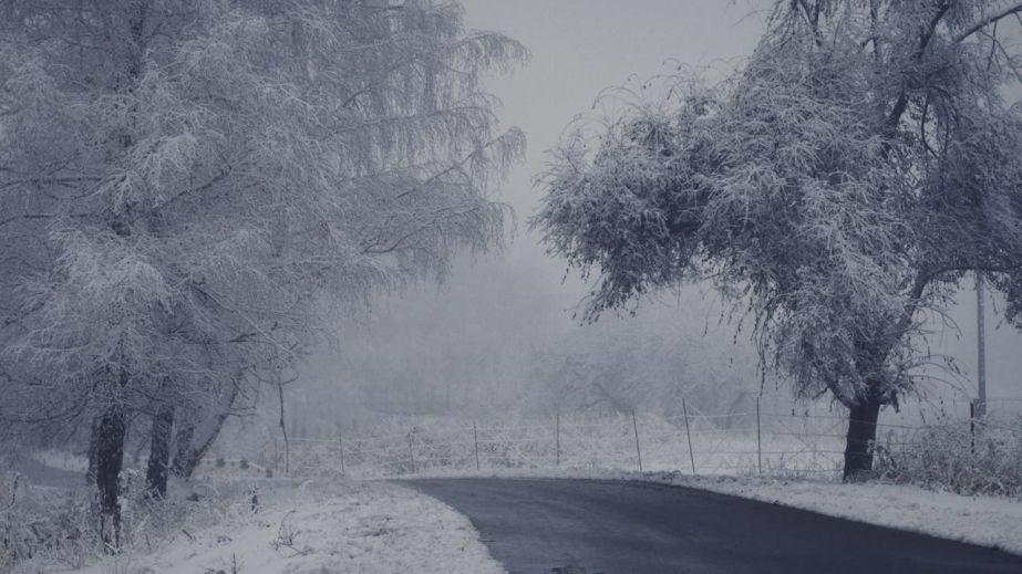 Сніг, дощ та ожеледиця: якою буде погода у Дніпрі та області 10 січня