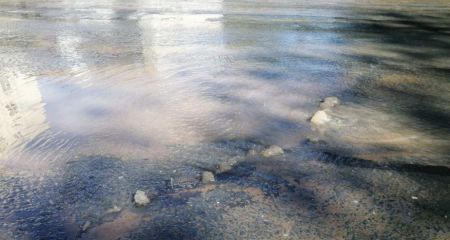 На Днепропетровщине сильно обмелели реки: в чем причина