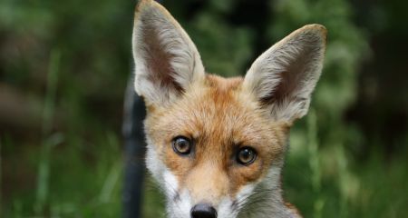 В Кривом Роге "в гос...