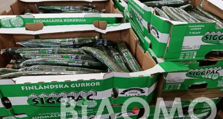 Днепропетровщина может остаться без ранних тепличных овощей: что происходит с огурцами и помидорами