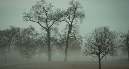 Туман и дождь: погода в Днепре и области 13 февраля