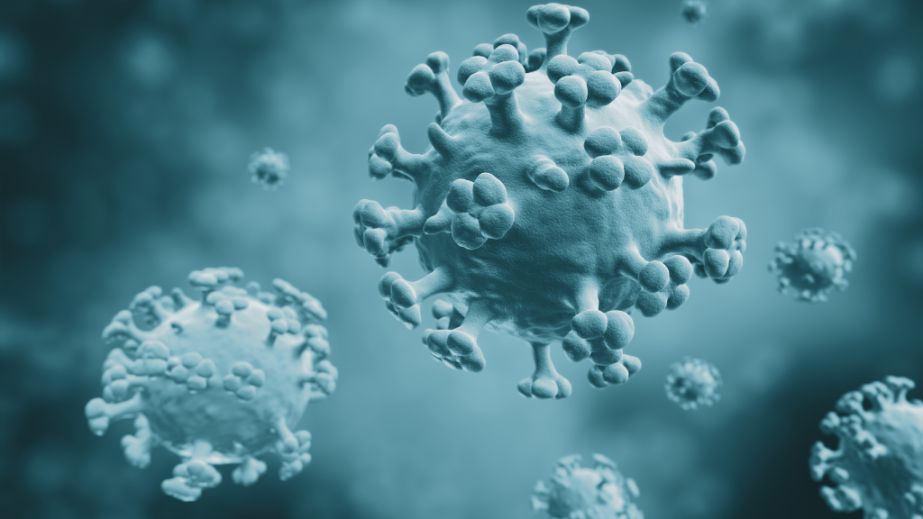 В Украине растет заболеваемость гриппом и COVID &ndash; в некоторых областях эпидпорог превышен