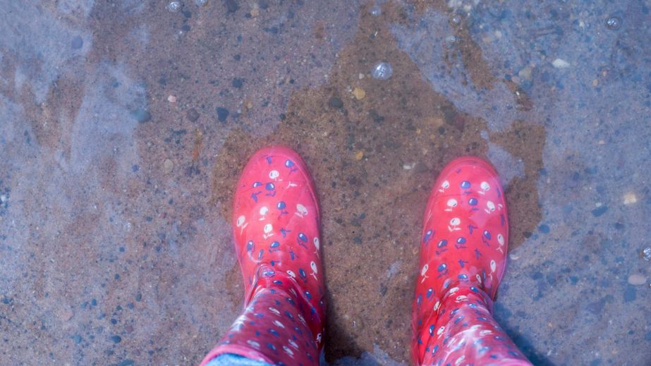 На Криворіжжі водосховище вийшло з берегів та затопило вулиці села (ФОТО)