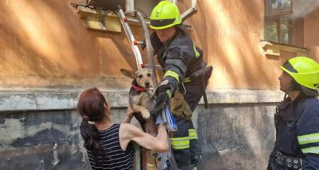 В Днепре на пожаре спасли двух собачек (ФОТО)