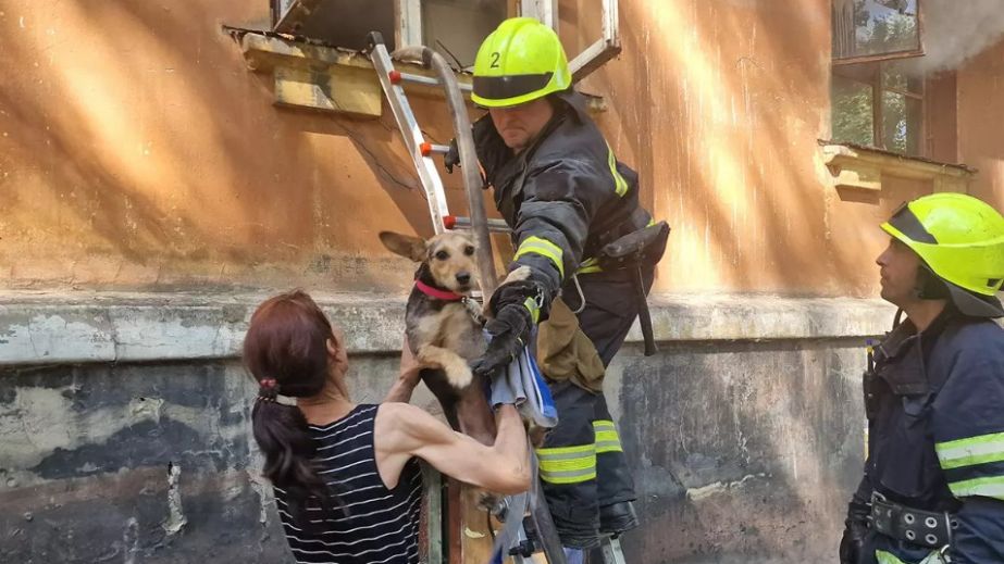 В Днепре на пожаре спасли двух собачек (ФОТО)