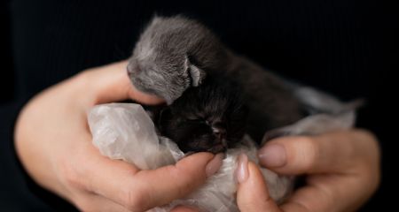 Положили в пакет с м...