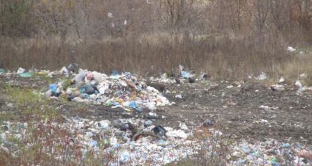 В лесополосе под Днепром обнаружили стихийную свалку