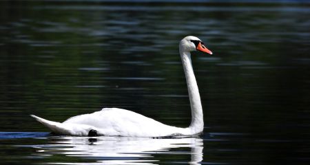 В Днепре на Монастыр...