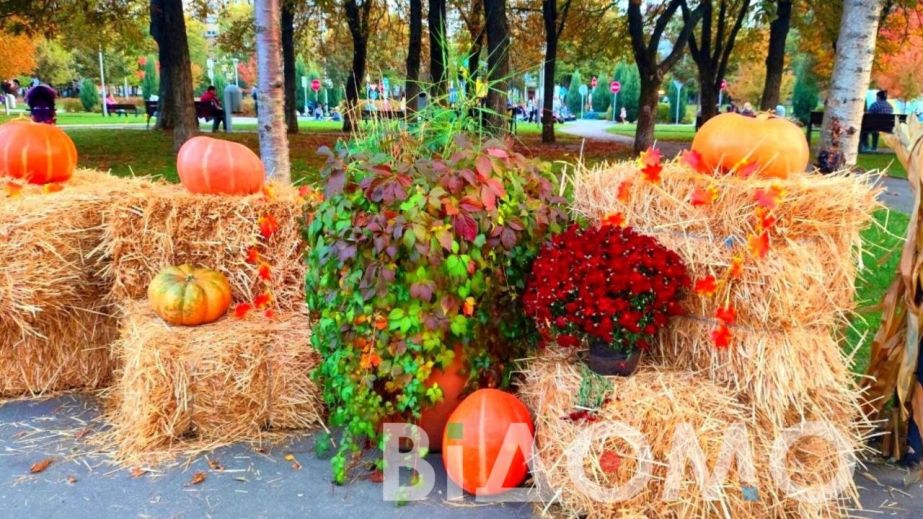 У Дніпрі з'явилася атмосферна гарбузова алея (ФОТО, ВІДЕО)